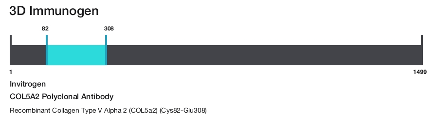 COL5A2 Polyclonal Antibody