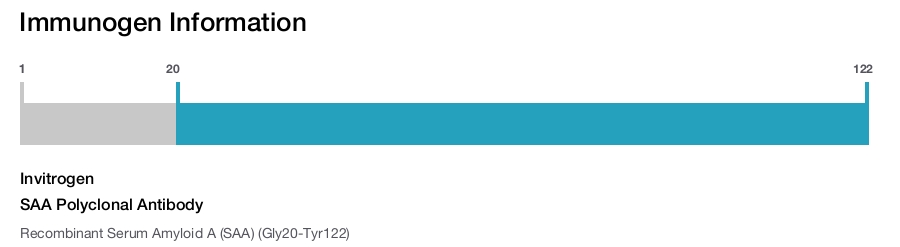 SAA Polyclonal Antibody