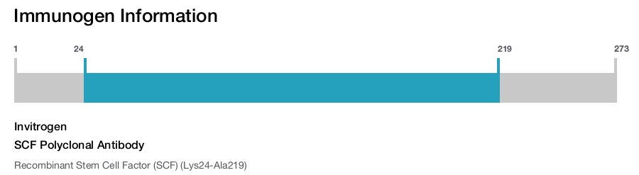 SCF Polyclonal Antibody