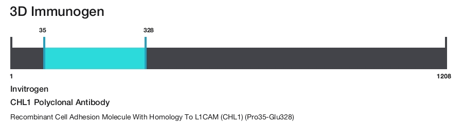 CHL1 Polyclonal Antibody