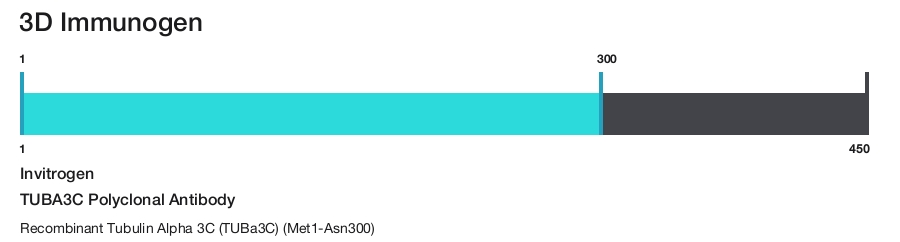 TUBA3C Polyclonal Antibody
