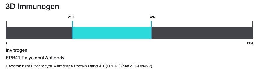 EPB41 Polyclonal Antibody