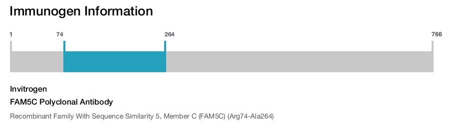 FAM5C Polyclonal Antibody