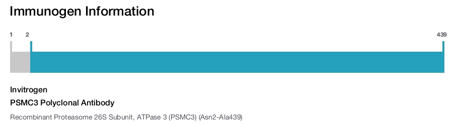 PSMC3 Polyclonal Antibody