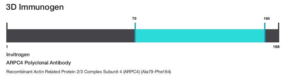 ARPC4 Polyclonal Antibody