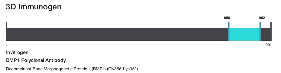BMP1 Polyclonal Antibody