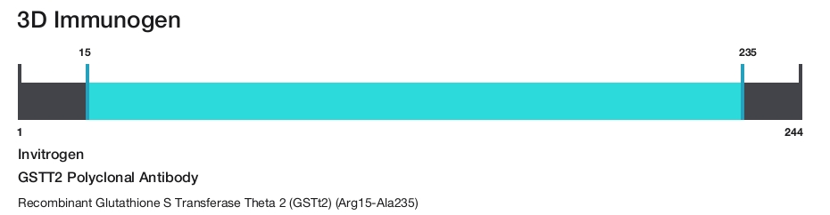 GSTT2 Polyclonal Antibody