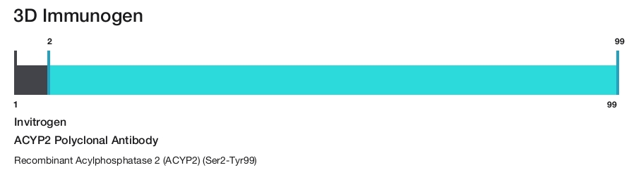 ACYP2 Polyclonal Antibody