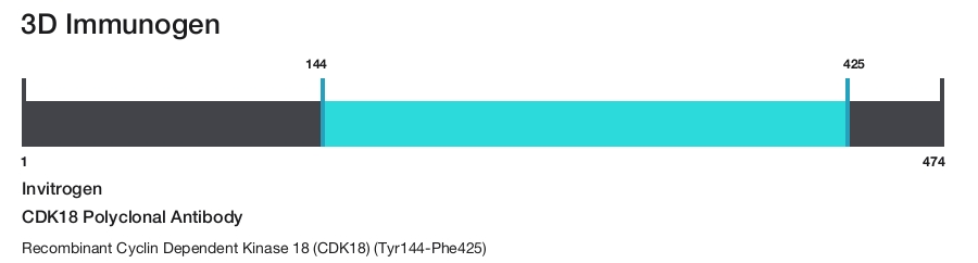 CDK18 Polyclonal Antibody