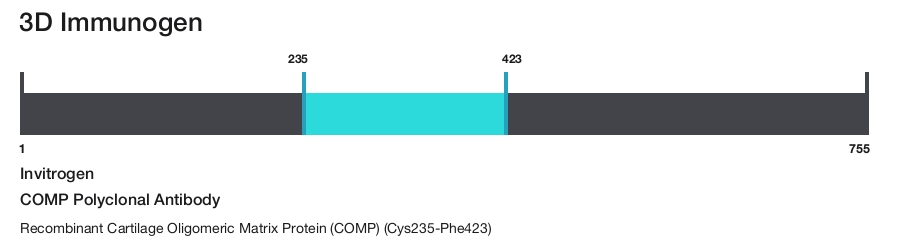 COMP Polyclonal Antibody