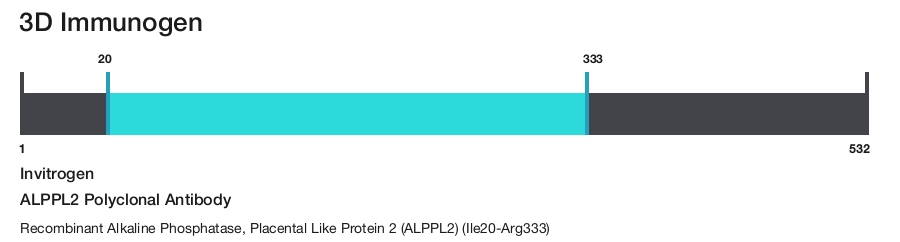 ALPPL2 Polyclonal Antibody