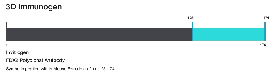 FDX2 Polyclonal Antibody