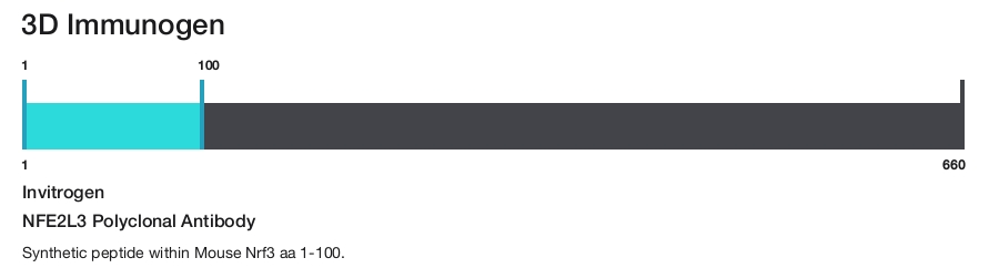 NFE2L3 Polyclonal Antibody