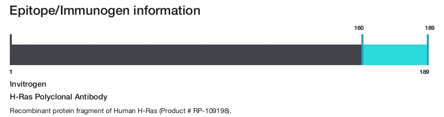 H-Ras Polyclonal Antibody