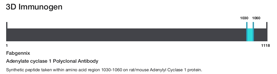 Adenylate cyclase 1 Polyclonal Antibody