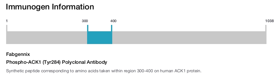 Phospho-ACK1 (Tyr284) Polyclonal Antibody