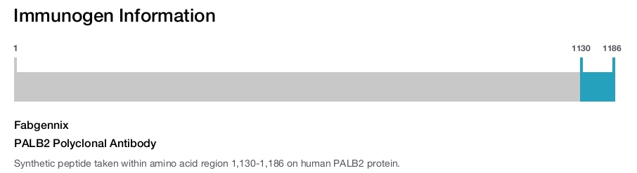 PALB2 Polyclonal Antibody