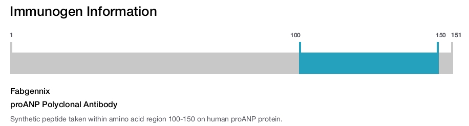 proANP Polyclonal Antibody