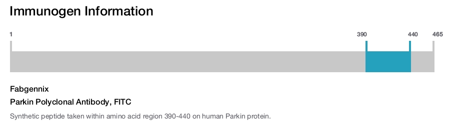 Parkin Polyclonal Antibody, FITC
