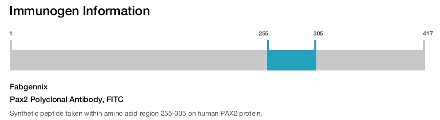 Pax2 Polyclonal Antibody, FITC