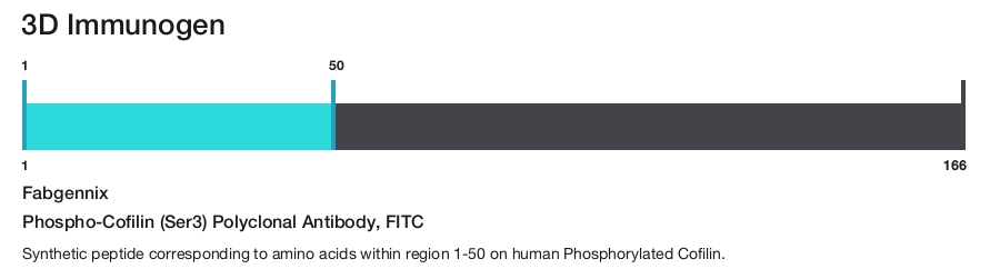 Phospho-Cofilin (Ser3) Polyclonal Antibody, FITC
