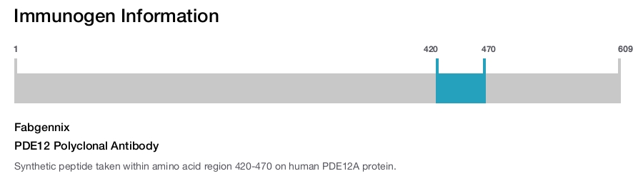 PDE12 Polyclonal Antibody