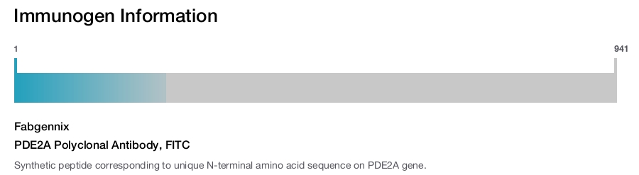 PDE2A Polyclonal Antibody, FITC