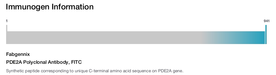 PDE2A Polyclonal Antibody, FITC