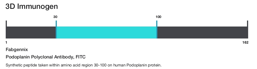 Podoplanin Polyclonal Antibody, FITC
