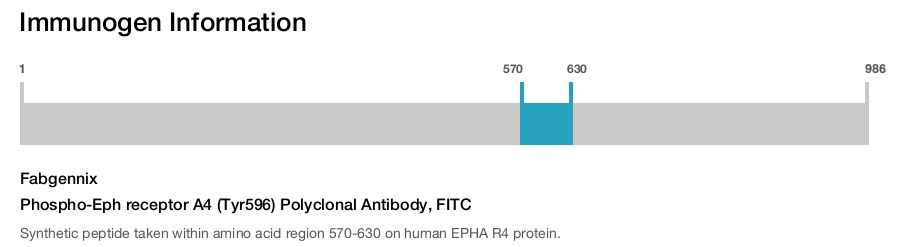 Phospho-Eph receptor A4 (Tyr596) Polyclonal Antibody, FITC