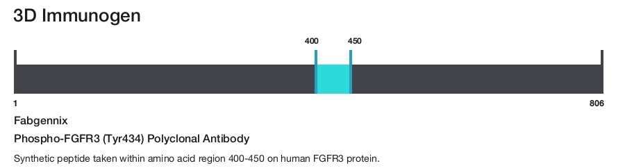 Phospho-FGFR3 (Tyr434) Polyclonal Antibody