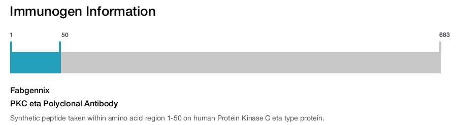 PKC eta Polyclonal Antibody