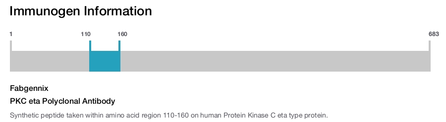 PKC eta Polyclonal Antibody
