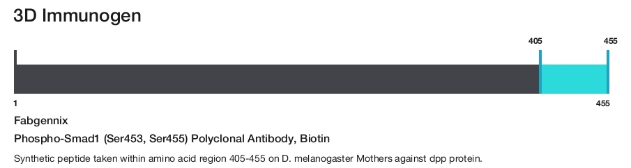 Phospho-Smad1 (Ser453, Ser455) Polyclonal Antibody, Biotin