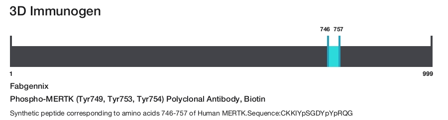 Phospho-MERTK (Tyr749, Tyr753, Tyr754) Polyclonal Antibody, Biotin