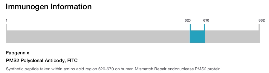 PMS2 Polyclonal Antibody, FITC