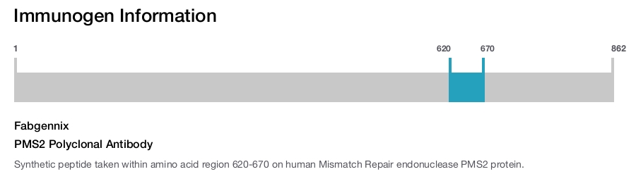 PMS2 Polyclonal Antibody
