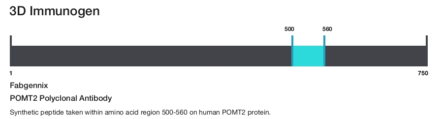 POMT2 Polyclonal Antibody