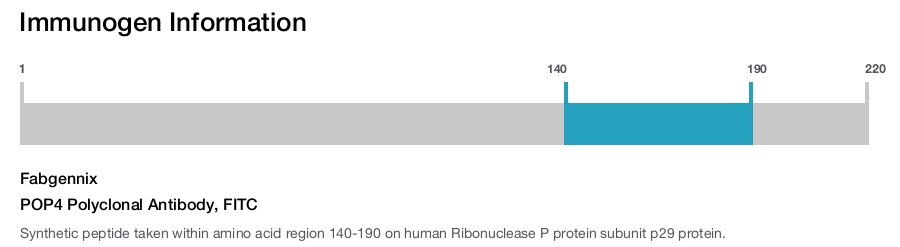 POP4 Polyclonal Antibody, FITC