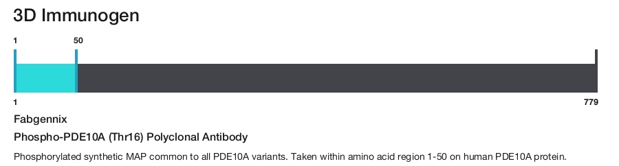Phospho-PDE10A (Thr16) Polyclonal Antibody