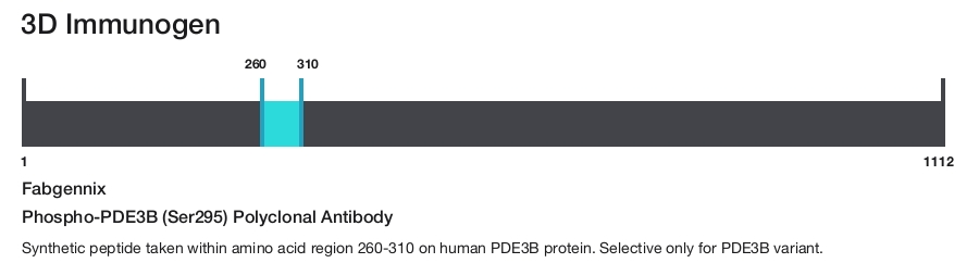 Phospho-PDE3B (Ser295) Polyclonal Antibody