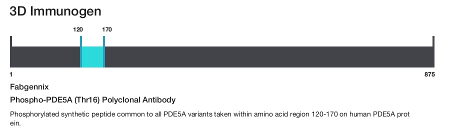 Phospho-PDE5A (Thr16) Polyclonal Antibody