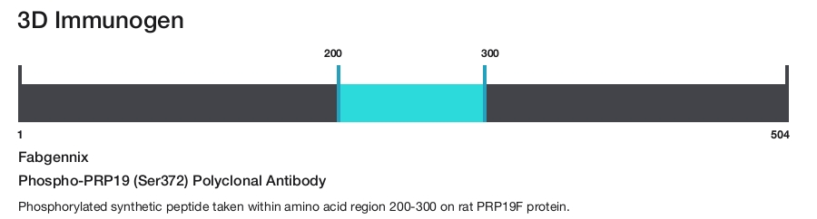 Phospho-PRP19 (Ser372) Polyclonal Antibody