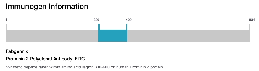 Prominin 2 Polyclonal Antibody, FITC