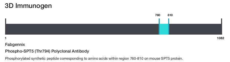 Phospho-SPT5 (Thr794) Polyclonal Antibody