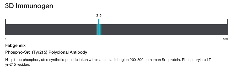 Phospho-Src (Tyr215) Polyclonal Antibody