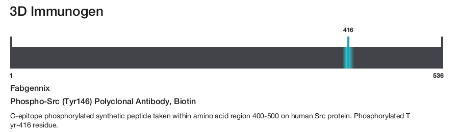 Phospho-Src (Tyr146) Polyclonal Antibody, Biotin