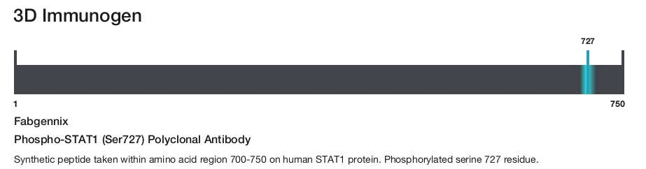 Phospho-STAT1 (Ser727) Polyclonal Antibody