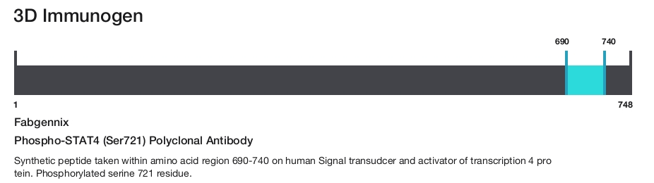 Phospho-STAT4 (Ser721) Polyclonal Antibody
