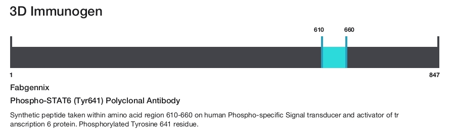 Phospho-STAT6 (Tyr641) Polyclonal Antibody